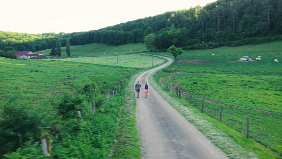 Un chemin à travers les prairies