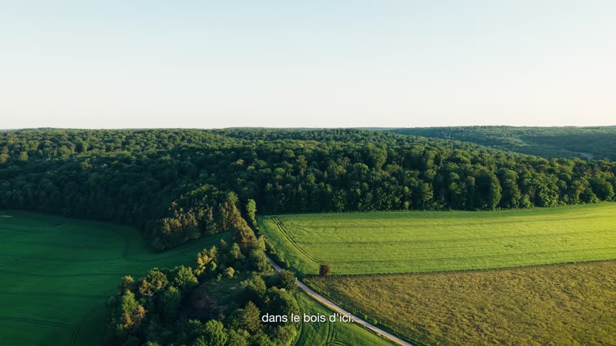 Vue aérienne de la campagne