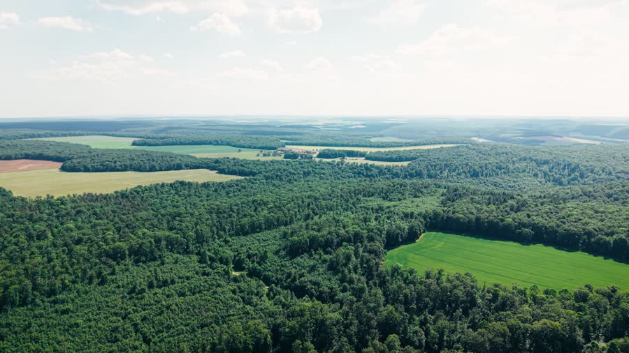 Vue aérienne du massif forestier